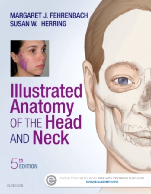 Illustrated Anatomy of the Head and Neck, Paperback / softback Book