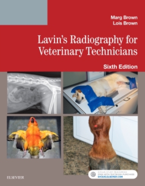 Lavin's Radiography for Veterinary Technicians, Paperback / softback Book