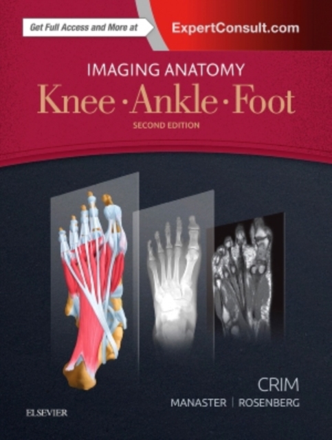 Imaging Anatomy: Knee, Ankle, Foot, Hardback Book