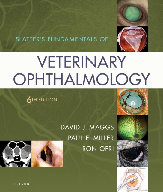 Slatter's Fundamentals of Veterinary Ophthalmology E-Book : Slatter's Fundamentals of Veterinary Ophthalmology E-Book, EPUB eBook