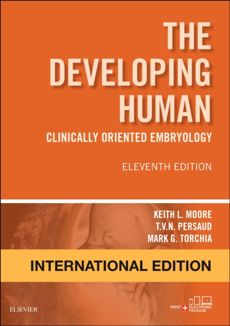 The Developing Human, International Edition : Clinically Oriented Embryology, Paperback Book