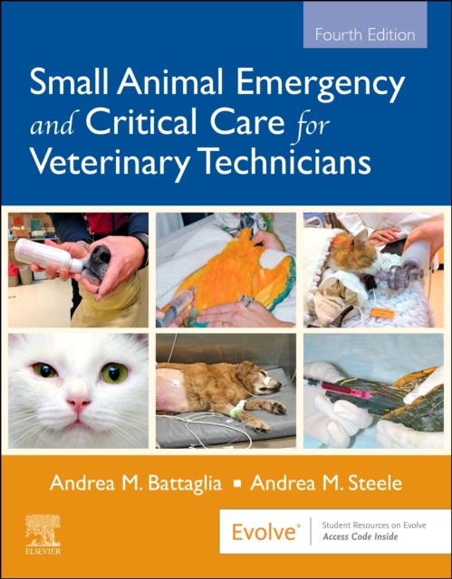 Small Animal Emergency and Critical Care for Veterinary Technicians, Paperback / softback Book