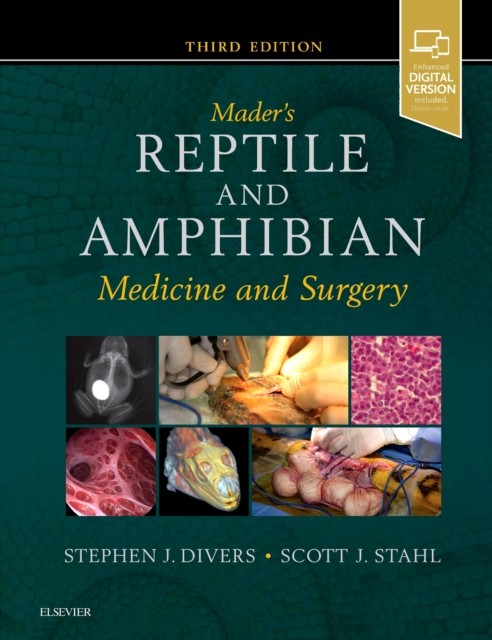Mader's Reptile and Amphibian Medicine and Surgery, Hardback Book