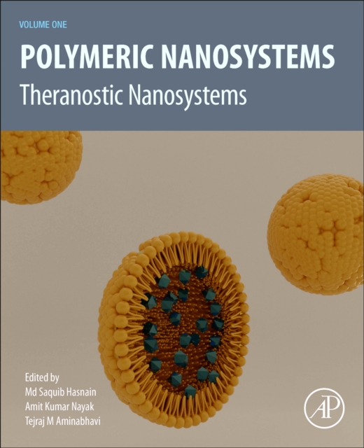 Polymeric Nanosystems : Theranostic Nanosystems, Volume 1, Paperback / softback Book