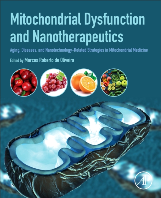 Mitochondrial Dysfunction and Nanotherapeutics : Aging, Diseases, and Nanotechnology-Related Strategies in Mitochondrial Medicine, Paperback / softback Book