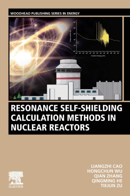 Resonance Self-Shielding Calculation Methods in Nuclear Reactors, Paperback / softback Book
