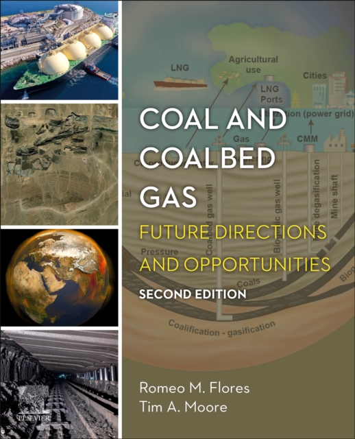 Coal and Coalbed Gas : Future Directions and Opportunities, Paperback / softback Book