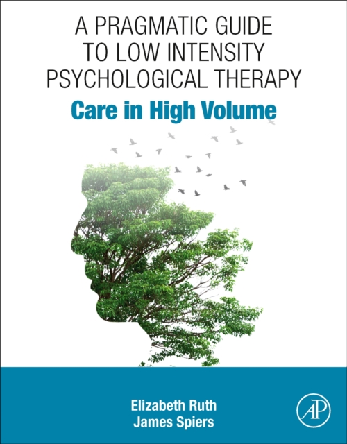 A Pragmatic Guide to Low Intensity Psychological Therapy : Care in High Volume, Paperback / softback Book
