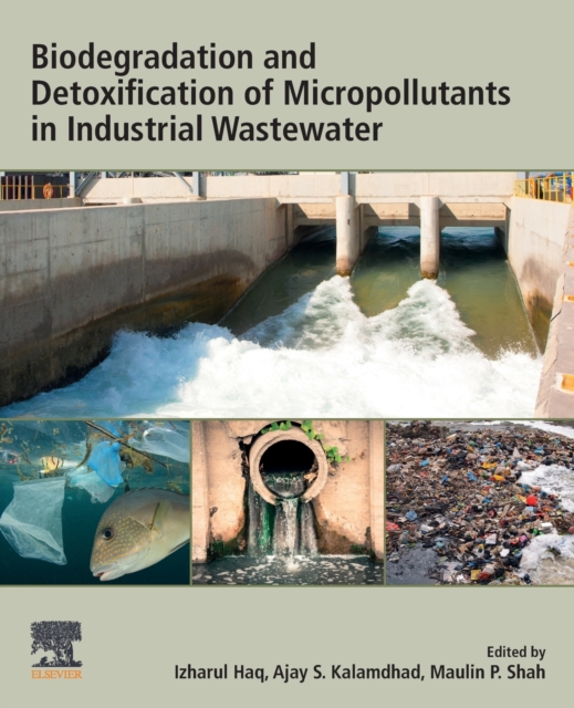 Biodegradation and Detoxification of Micropollutants in Industrial Wastewater, Paperback / softback Book