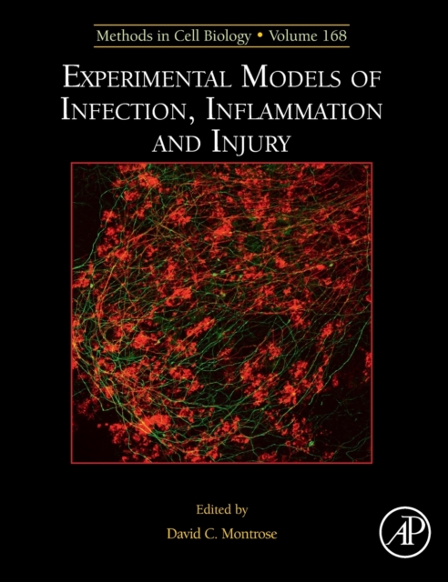 Experimental Models of Infection, Inflammation and Injury : Volume 168, Hardback Book