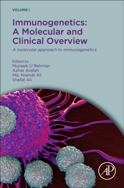 Immunogenetics: A Molecular and Clinical Overview : A Molecular Approach to Immunogenetics, Paperback / softback Book