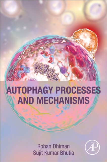 Autophagy Processes and Mechanisms, Paperback / softback Book