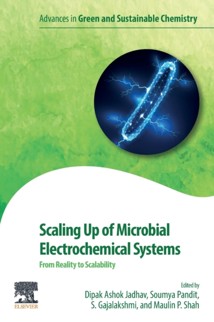 Scaling Up of Microbial Electrochemical Systems : From Reality to Scalability, Paperback / softback Book