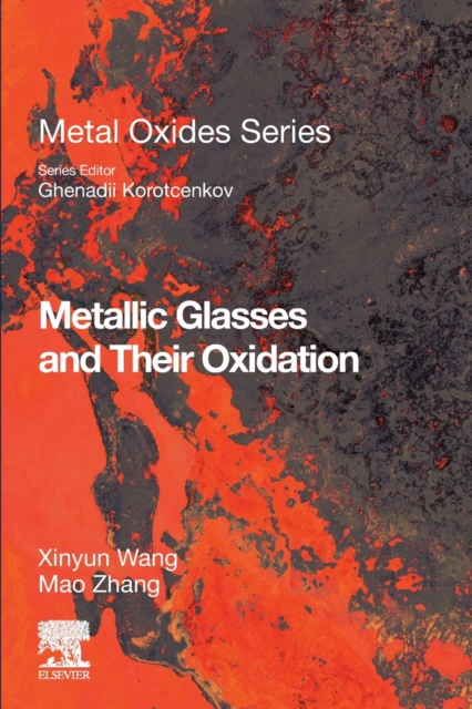 Metallic Glasses and Their Oxidation, Paperback / softback Book