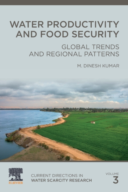 Water Productivity and Food Security : Global Trends and Regional Patterns Volume 3, Paperback / softback Book