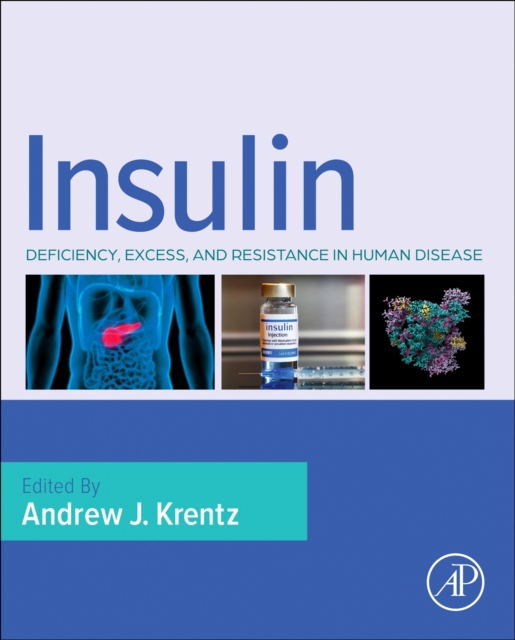 Insulin : Deficiency, Excess and Resistance in Human Disease, Paperback / softback Book