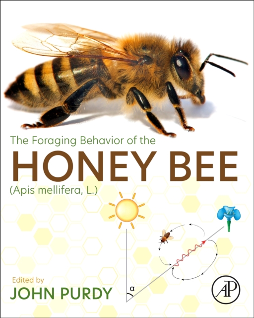 The Foraging Behavior of the Honey Bee (Apis mellifera, L.), Paperback / softback Book