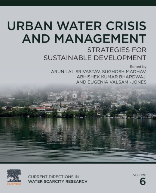 Urban Water Crisis and Management : Strategies for Sustainable Development Volume 6, Paperback / softback Book