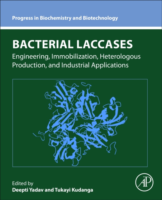 Bacterial Laccases : Engineering, Immobilization, Heterologous Production, and Industrial Applications, Paperback / softback Book