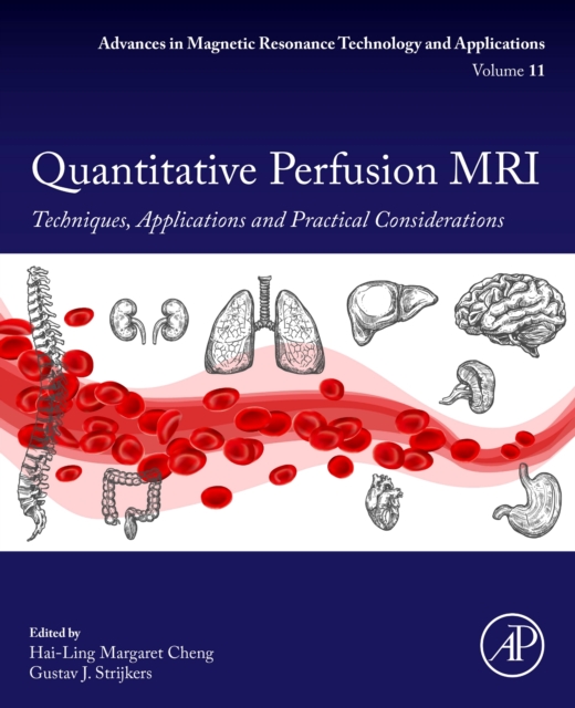 Quantitative Perfusion MRI : Techniques, Applications and Practical Considerations Volume 11, Paperback / softback Book