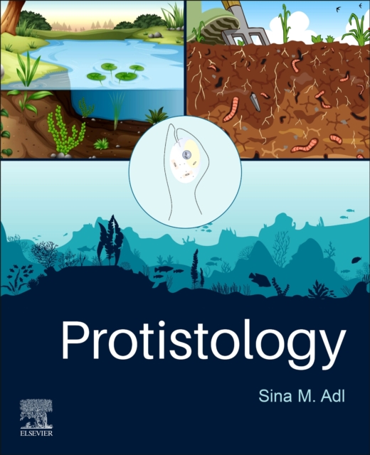 Protistology, Paperback / softback Book