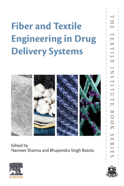 Fiber and Textile Engineering in Drug Delivery Systems, Paperback / softback Book