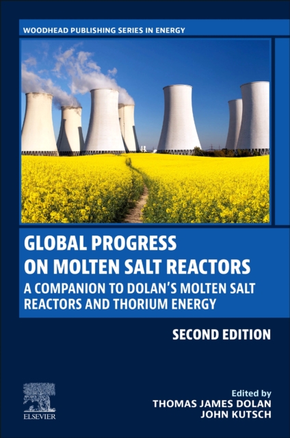 Global Progress on Molten Salt Reactors : A Companion to Dolan’s Molten Salt Reactors and Thorium Energy, Paperback / softback Book