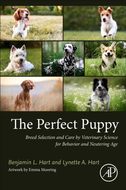 The Perfect Puppy : Breed Selection and Care by Veterinary Science for Behavior and Neutering Age, Paperback / softback Book