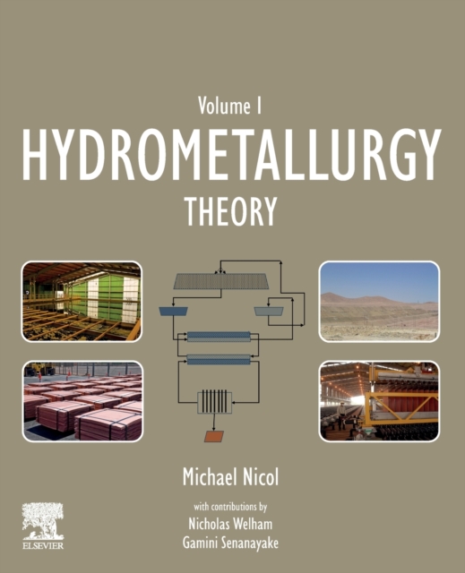 Hydrometallurgy : Theory, Paperback / softback Book