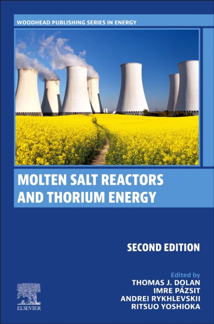 Molten Salt Reactors and Thorium Energy, Paperback / softback Book