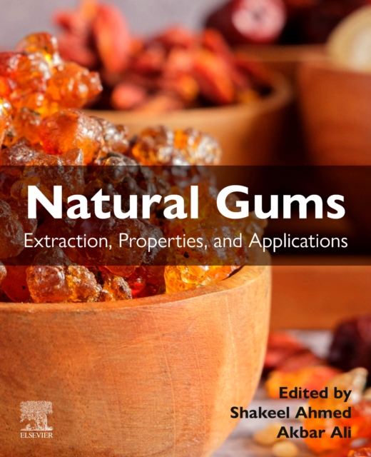 Natural Gums : Extraction, Properties, and Applications, Paperback / softback Book