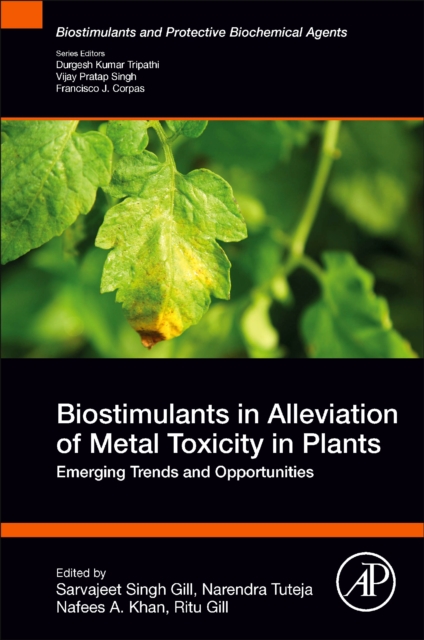 Biostimulants in Alleviation of Metal Toxicity in Plants : Emerging Trends and Opportunities, Paperback / softback Book