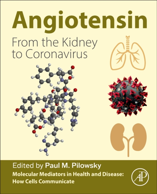 Angiotensin : From the Kidney to Coronavirus, Paperback / softback Book