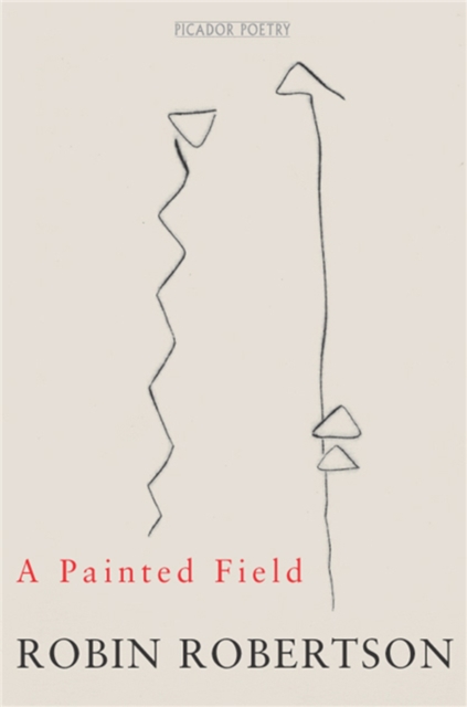 A Painted Field, Paperback / softback Book