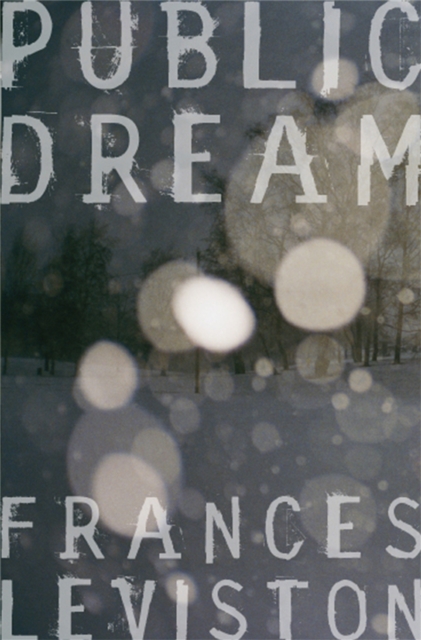 Public Dream, Paperback / softback Book
