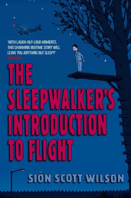 The Sleepwalker's Introduction to Flight, EPUB eBook