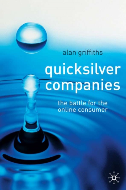 Quicksilver Companies : The Battle for the Online Consumer, Hardback Book