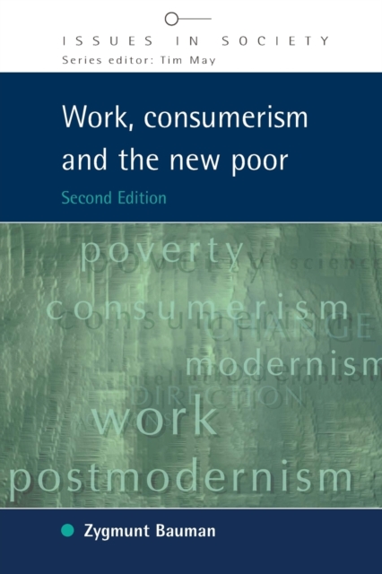 Work, Consumerism and the New Poor, Paperback / softback Book