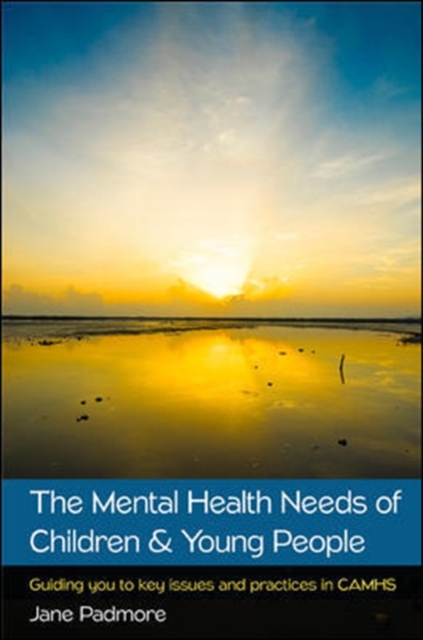 The Mental Health Needs of Children & Young People: Guiding you to key issues and practices in CAMHS, Paperback / softback Book