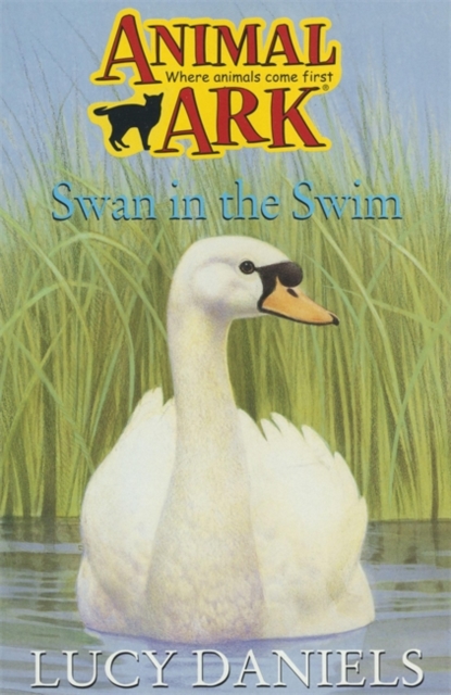 Swan In The Swim, Paperback Book