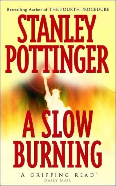 A Slow Burning, Paperback / softback Book