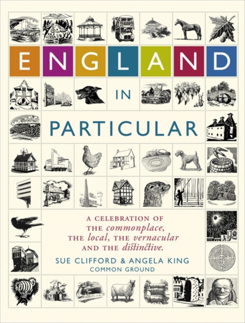 England In Particular : A celebration of the commonplace, the local, the vernacular and the distinctive, Hardback Book