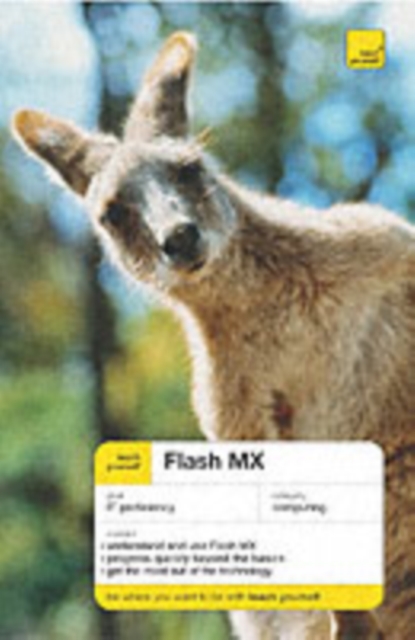 Flash MX 2004, Paperback Book