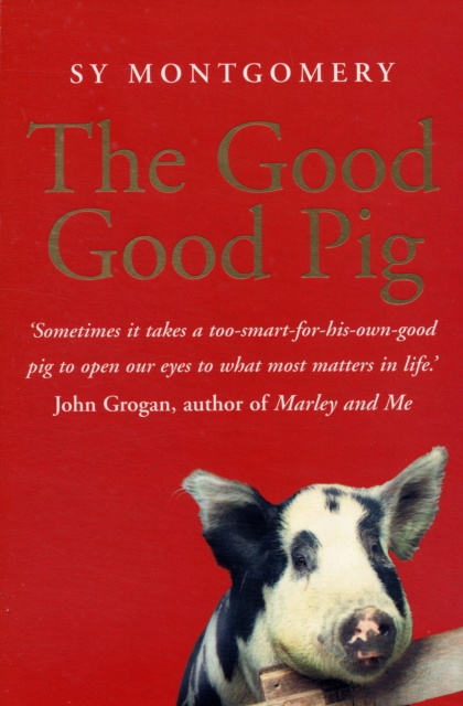 The Good Good Pig, Paperback / softback Book