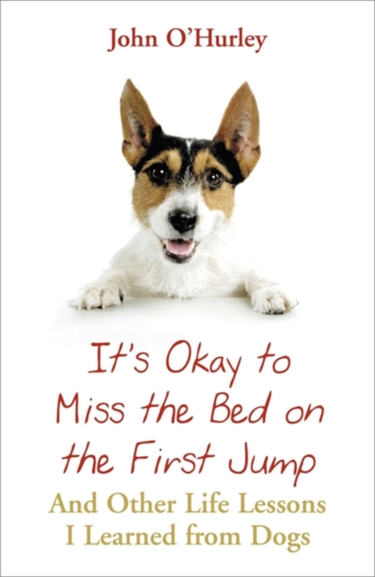 It's OK to Miss the Bed on the First Jump, Paperback / softback Book