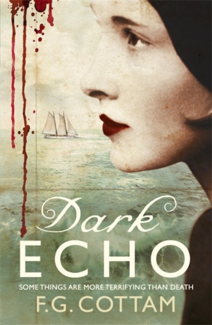 Dark Echo, Paperback / softback Book