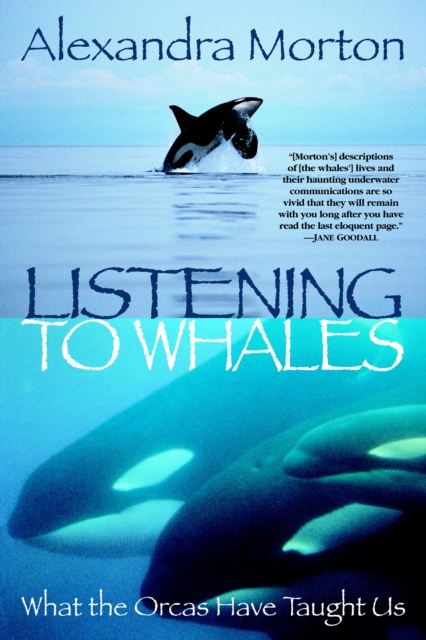 Listening to Whales : What the Orcas Have Taught Us, Paperback / softback Book