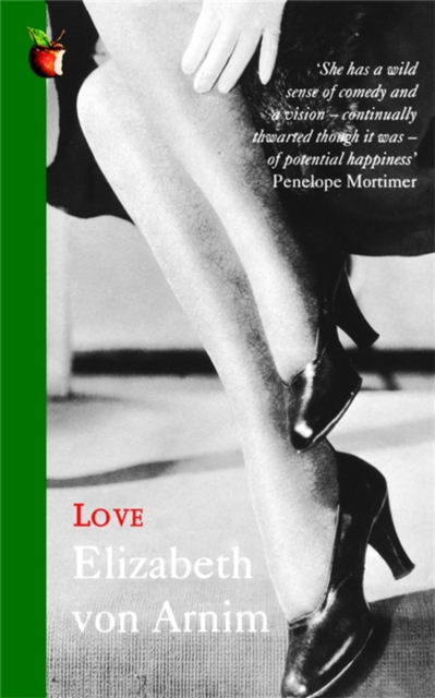 Love : A Virago Modern Classic, EPUB eBook