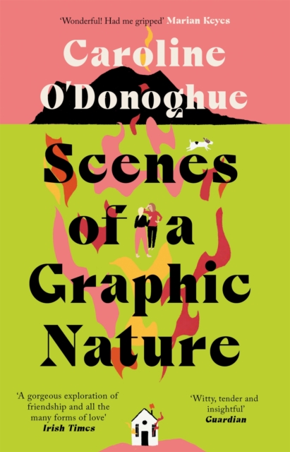 Scenes of a Graphic Nature : 'A perfect page-turner . . . I loved it' - Dolly Alderton, Paperback / softback Book