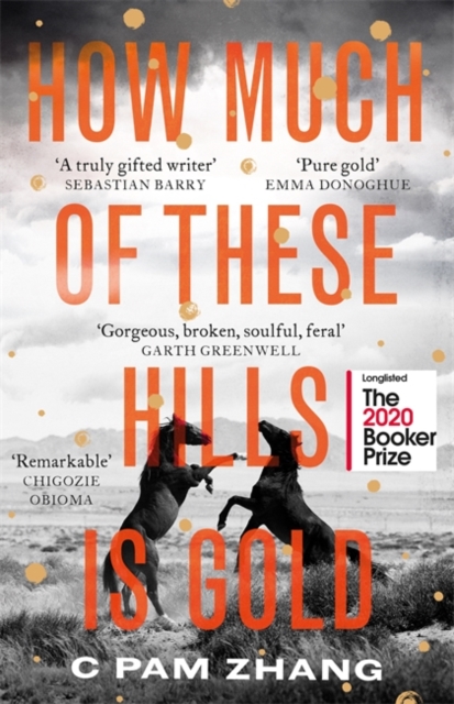 How Much of These Hills is Gold : Longlisted for the Booker Prize 2020, Hardback Book